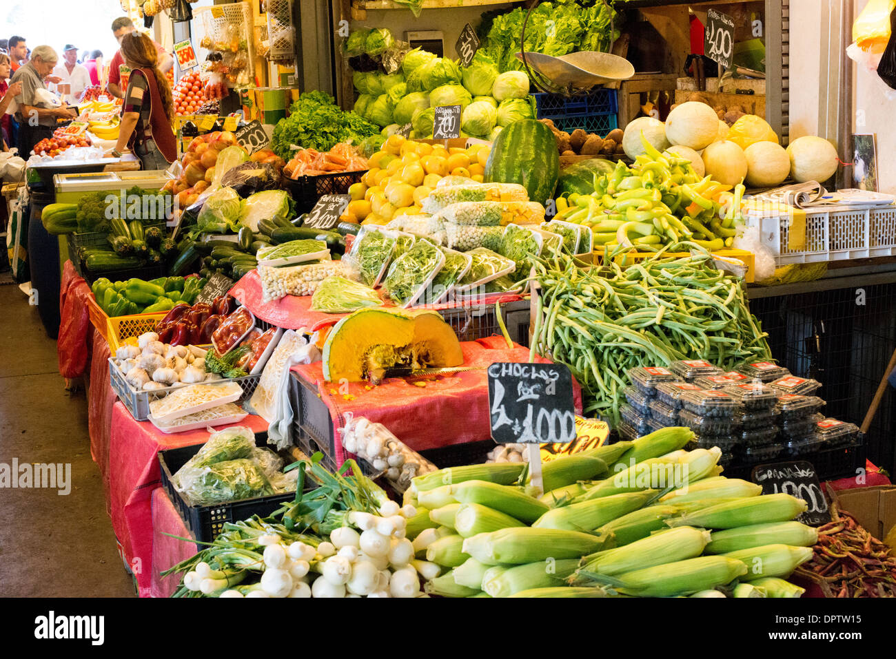 SANTIAGO, Chile – die Verkaufsstände des La Vega Central Market, dem wichtigsten Obst- und Gemüsemarkt von Santiago, werden mit frischen Produkten gefüllt. Der geschäftige Markt, der sich auf der anderen Seite des Mapocho-Flusses vom Mercado Central befindet, ist eine wichtige Verbindung zwischen chilenischen Agrarproduzenten und urbanen Verbrauchern. Die Händler stellen eine große Auswahl an frischem Obst und Gemüse unter dem charakteristischen halboffenen Dach des Marktes aus. Stockfoto