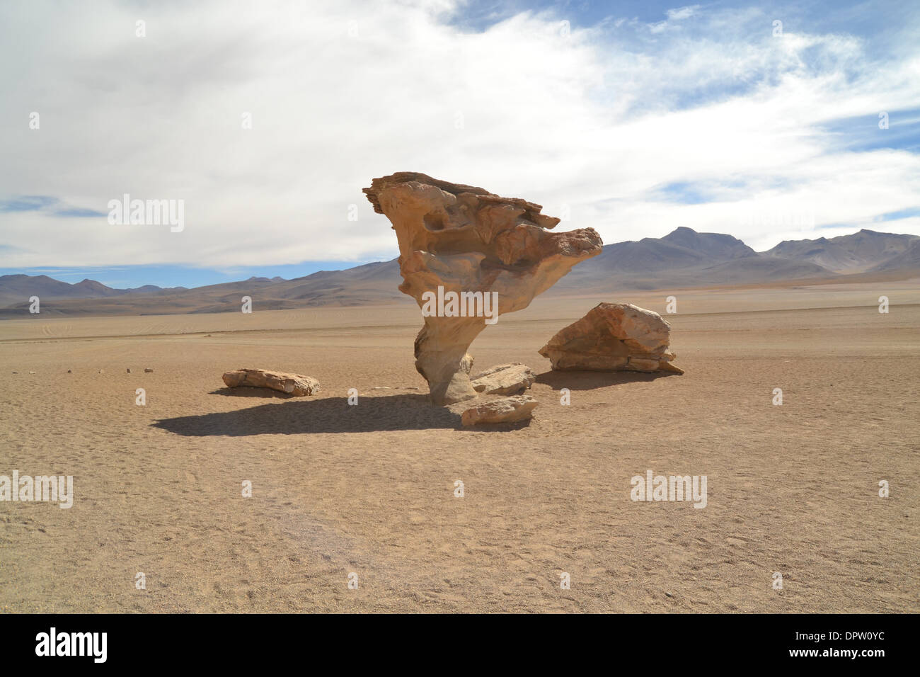Stein Baum Rock Formation - in der bolivianischen Wüste - Arbol de Piedra, Bolivien Stockfoto
