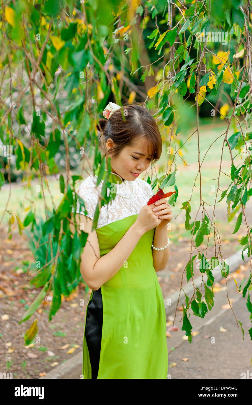 Junge Frau, die hält, hinterlässt eine Vale grüner Blätter und Zweige. Stockfoto