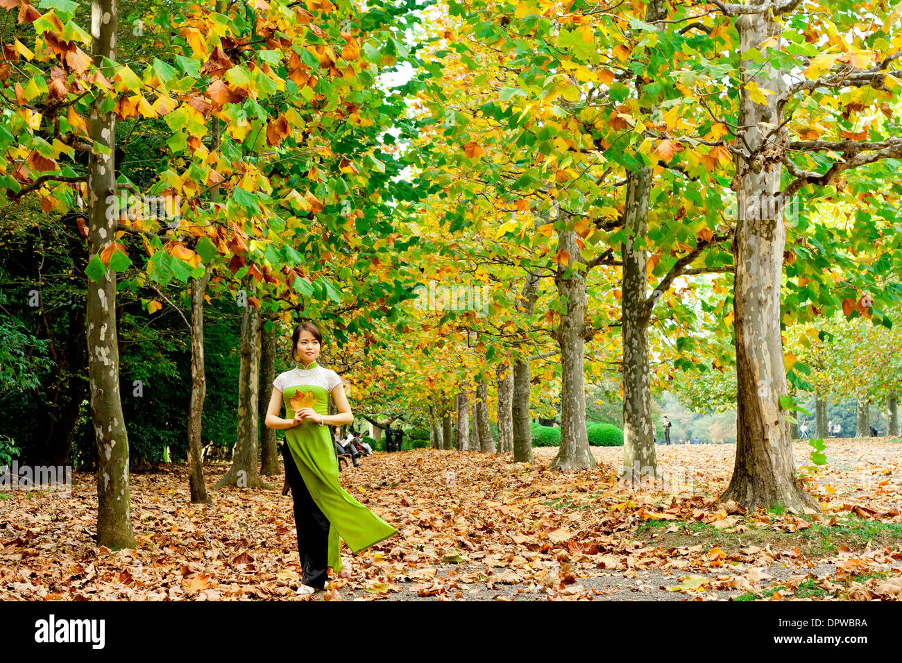 Junge Frau, die allein auf einem herbstlichen, blattbedeckten Weg zwischen Herbstbäumen spazieren geht, die Blätter halten Stockfoto