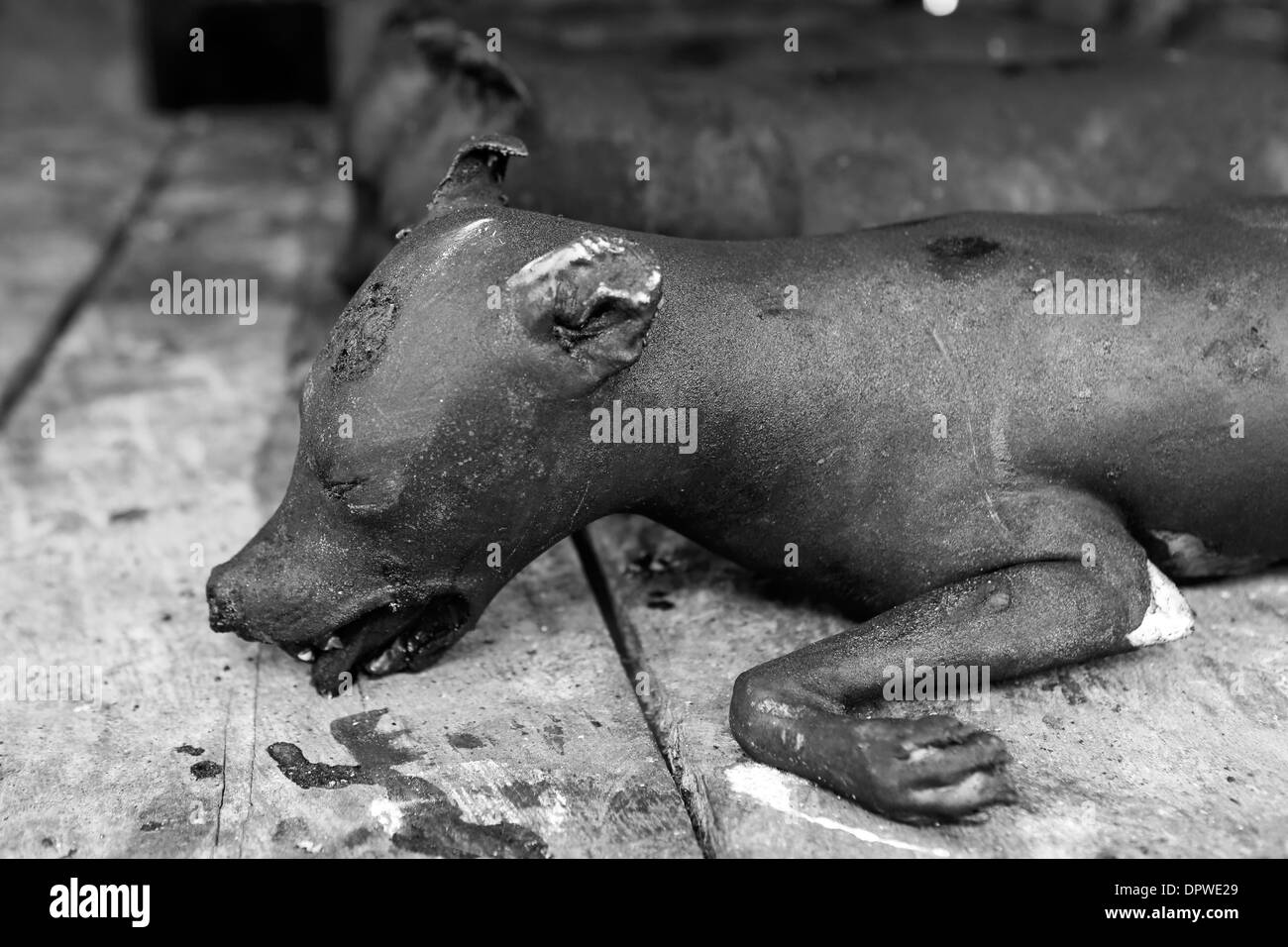 Tote Hunde zum Verkauf an Tomohon Markt, Nord Sulawesi, wo Hundefleisch als Delikatesse gilt Stockfoto