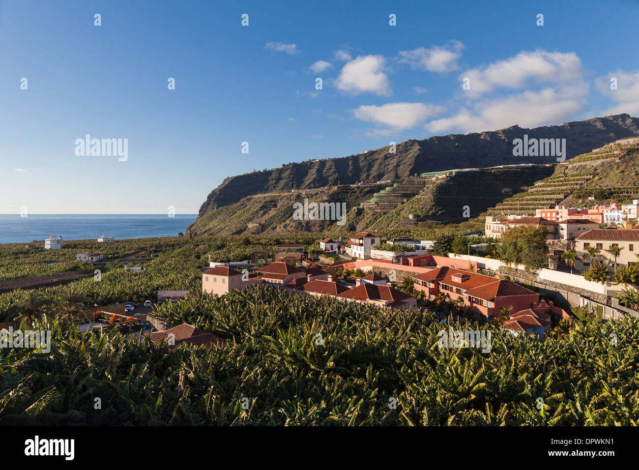 Blick über die Bananenplantagen und das Hotel Hacienda de Abajo in Tazacorte auf La Palma, Kanarische Inseln, Spanien Stockfoto