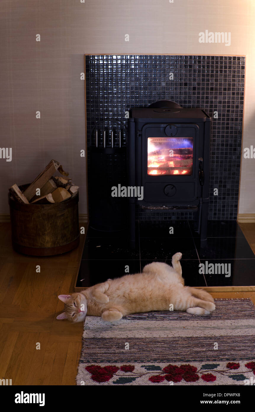 Katze am warmen Ofen ruhen Stockfotografie - Alamy