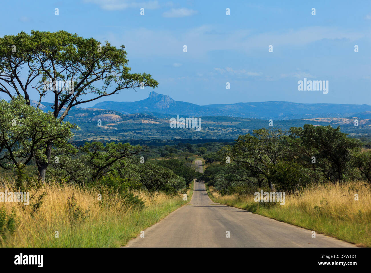 Üppige Vegetation der südafrikanischen Landschaft entlang der geraden schmalen Autobahn in Richtung Berge im Kruger-Nationalpark, Südafrika Stockfoto