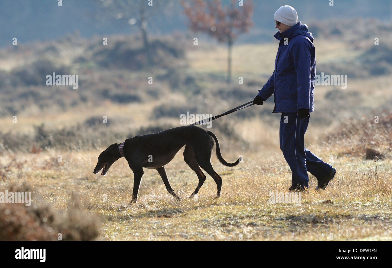 Frau eingewickelt für den Winter, wobei einen grauer Hund Hund für seinen Frühsport. Stockfoto