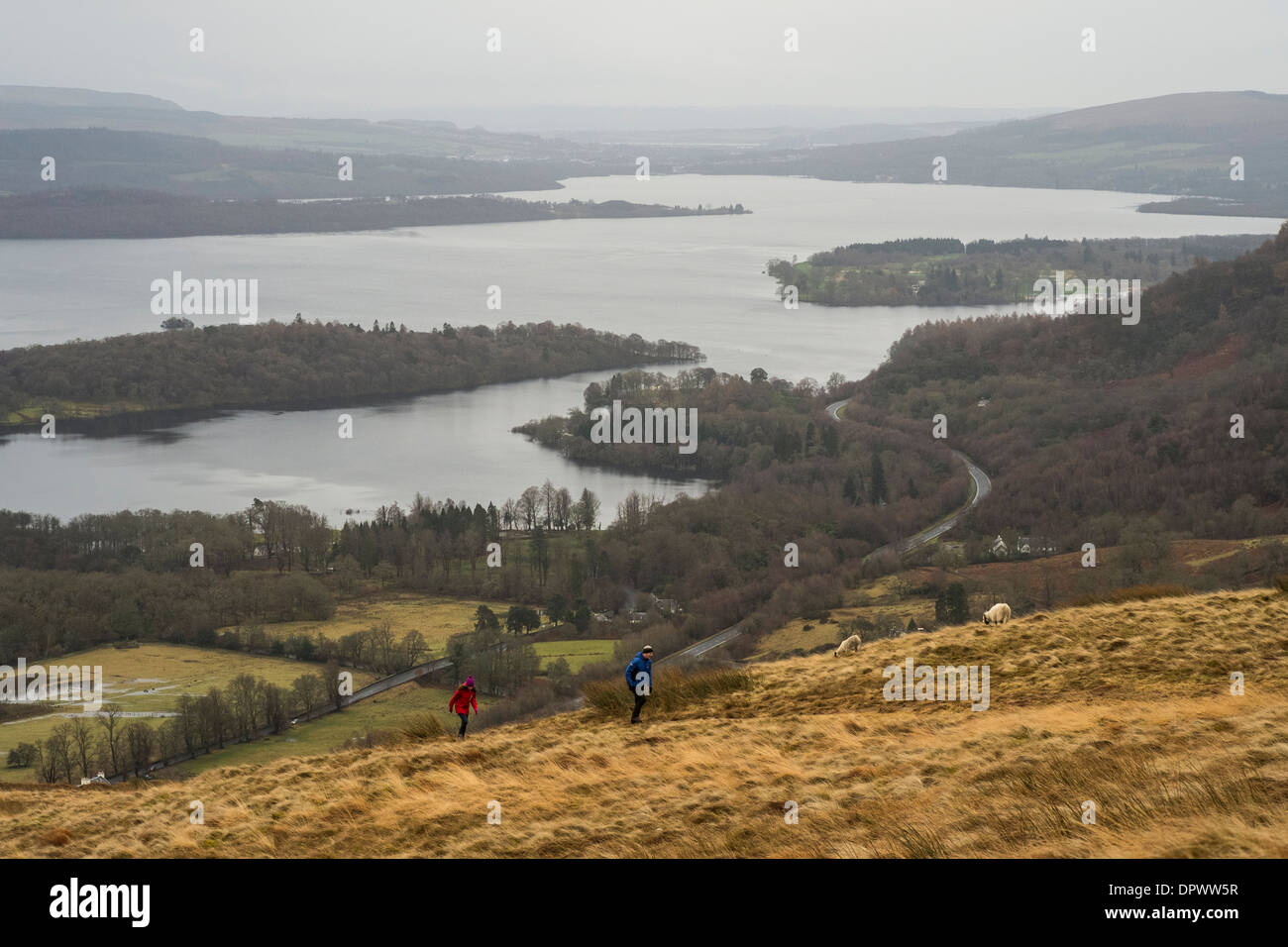 Ein Blick auf Loch Lomond und die Inseln von einem Hügel mit Blick auf das Dorf Luss, Schottland. Stockfoto