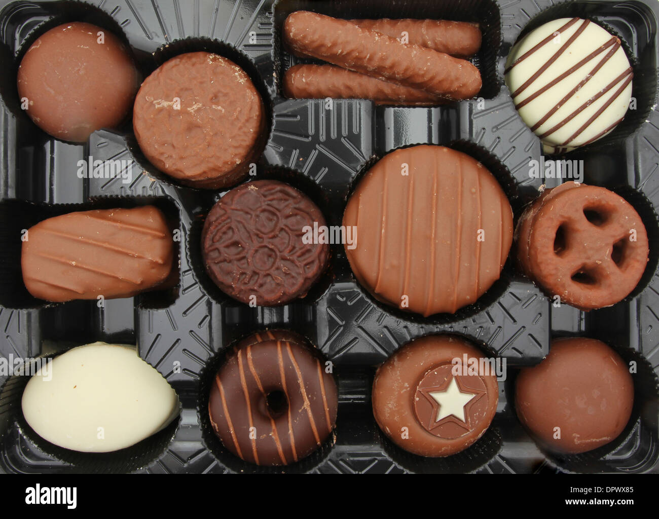 Schokoladenkekse in einem Plastikbehälter Stockfoto