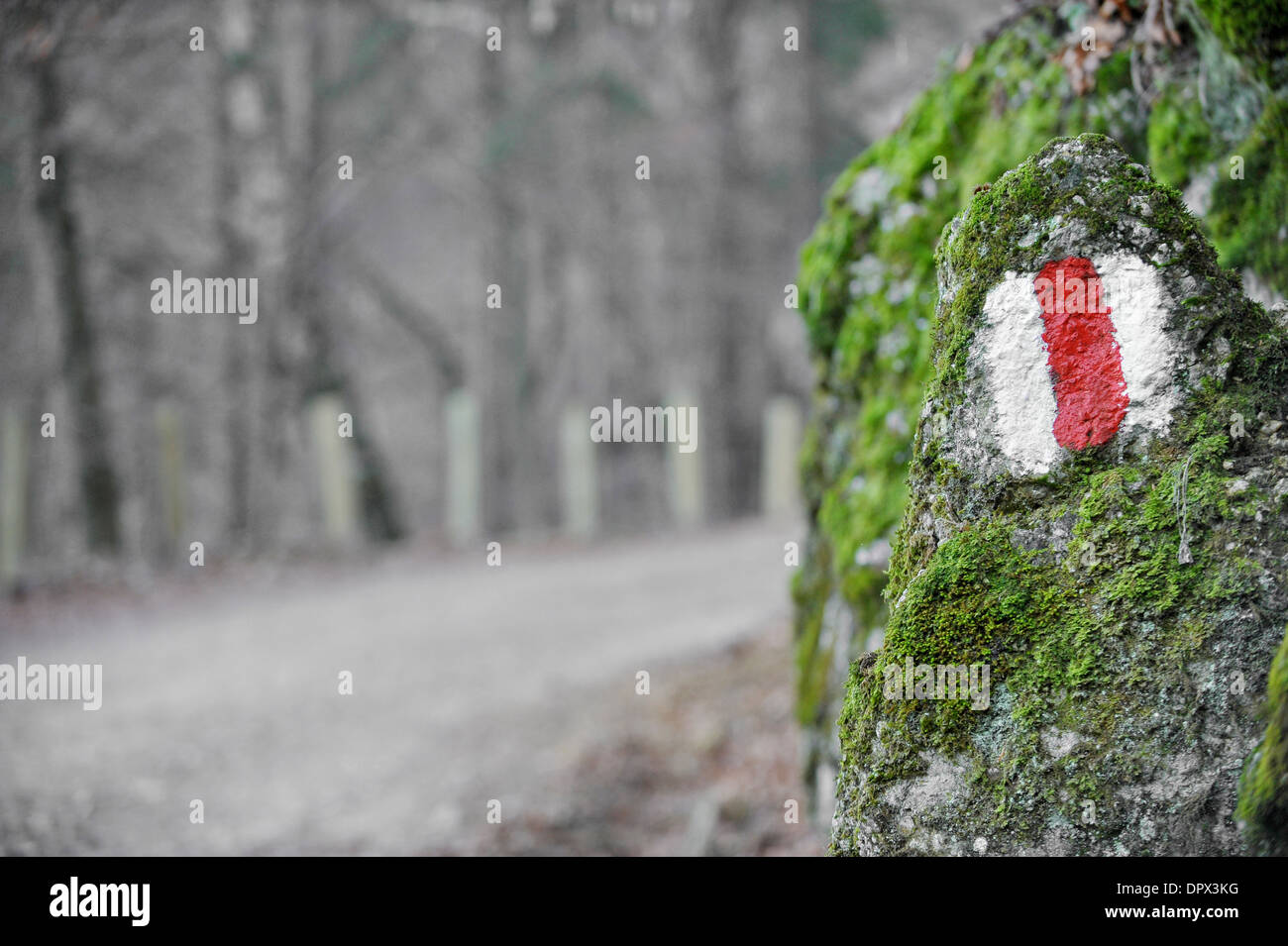 Rote Band Wandern Zeichen auf einem Felsen Moos Stockfoto