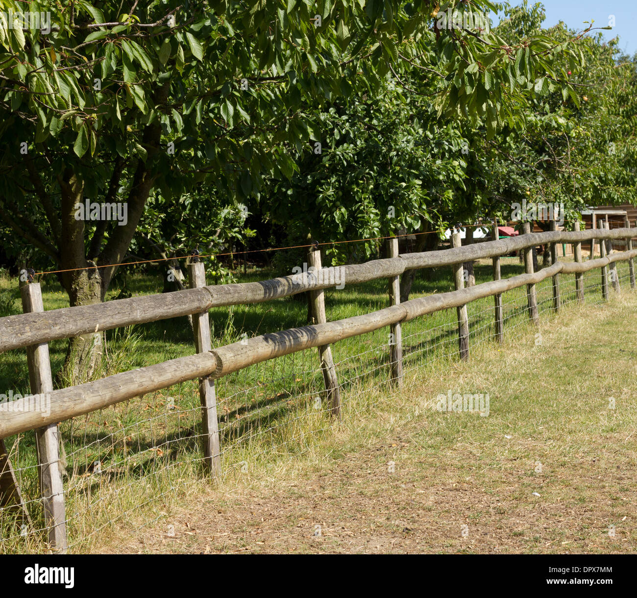 Holz-, Land Fechten mit Obstgarten Bäume hinter Stockfoto