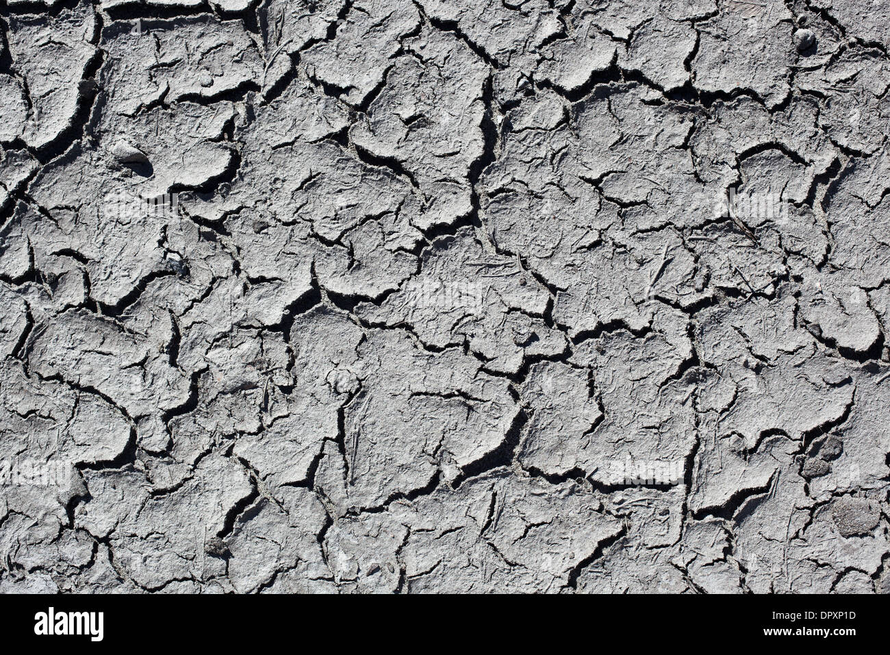 Rissigen Boden Textur oder Hintergrund. Stockfoto