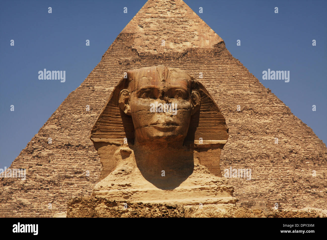 Die Sphinx von Gizeh in Ägypten Stockfoto