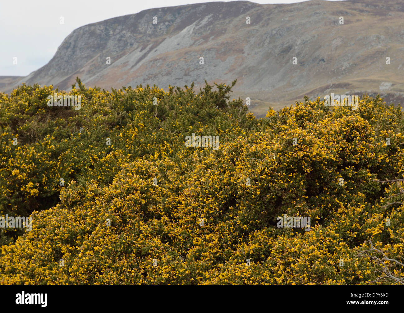 Glencolmcille County Donegal Ireland Stockfoto