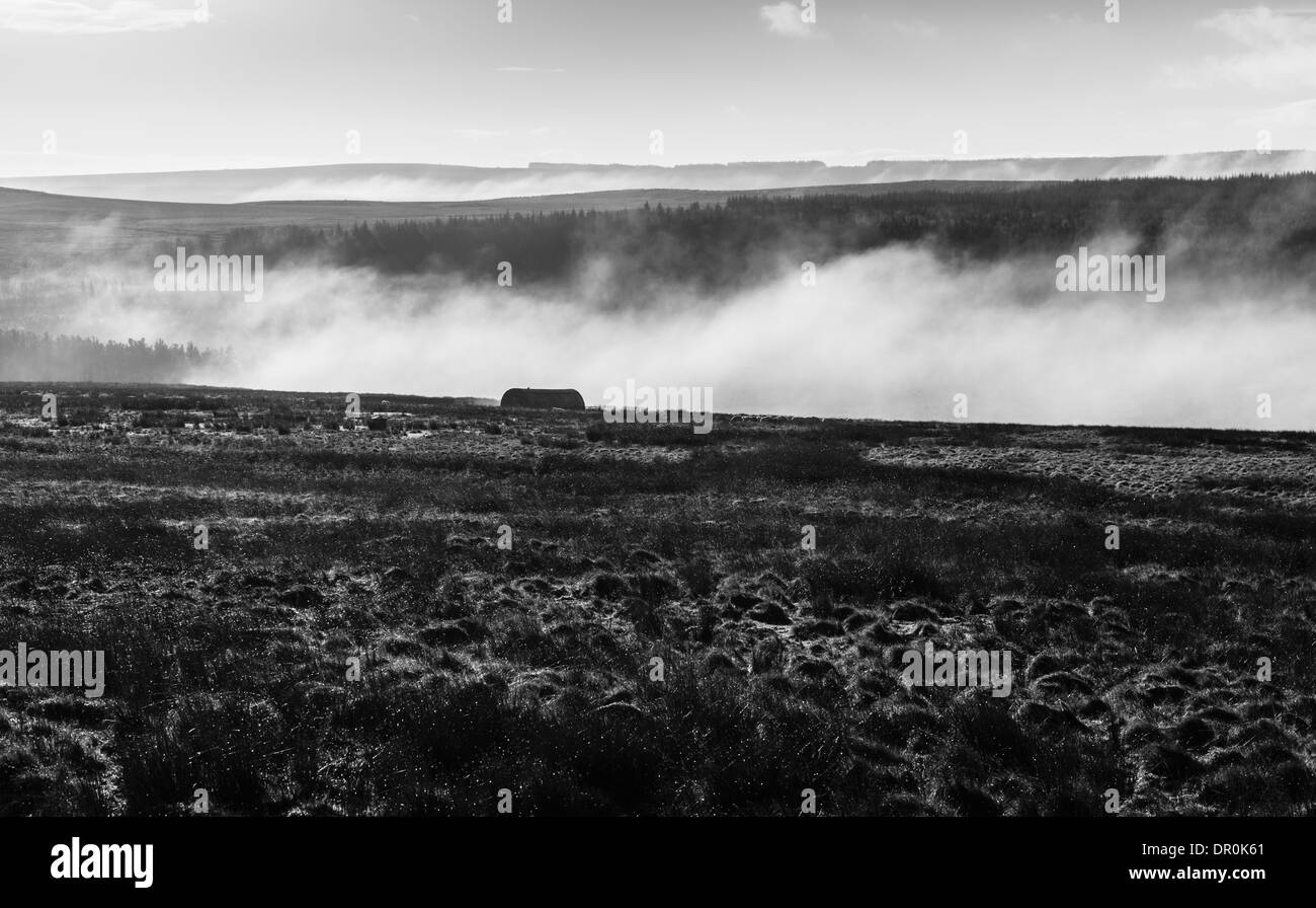 Nebligen, sonnigen Morgen Januar Landschaft - Redesdale, nördlich von Otterburn, Northumberland. Moor und Schaf-Farm. Stockfoto