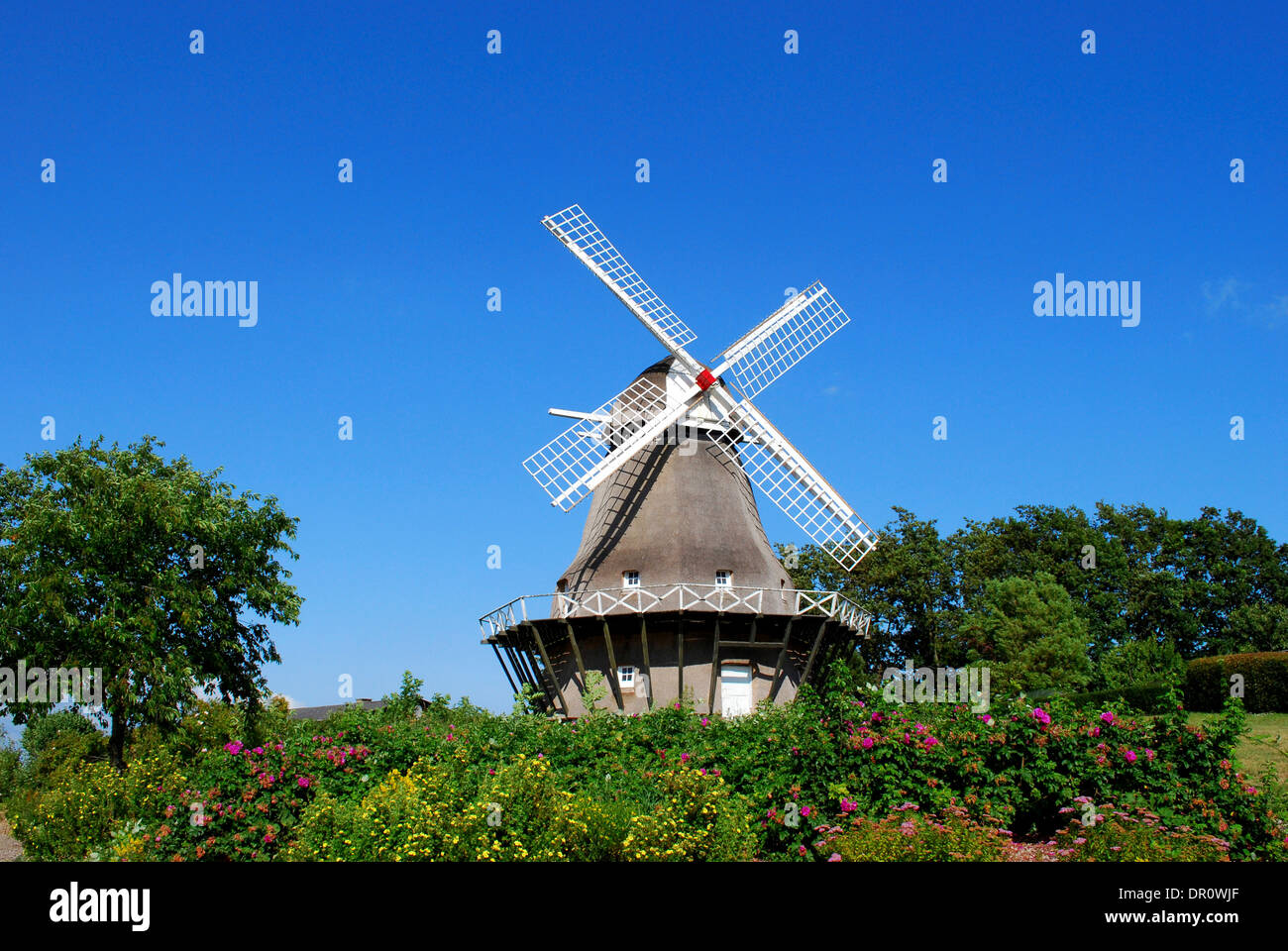 Aero, Windmühle in Soeby, Fyn, Dänemark, Skandinavien, Europa Stockfoto