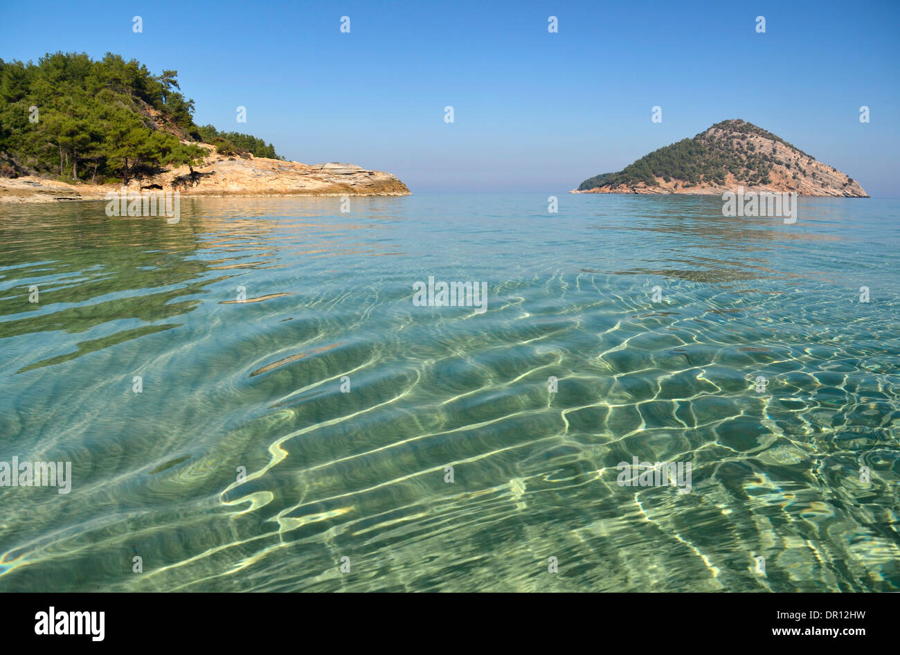 Das reine Wasser des Mittelmeers am Paradise Beach auf der Insel Thassos, Griechenland Stockfoto