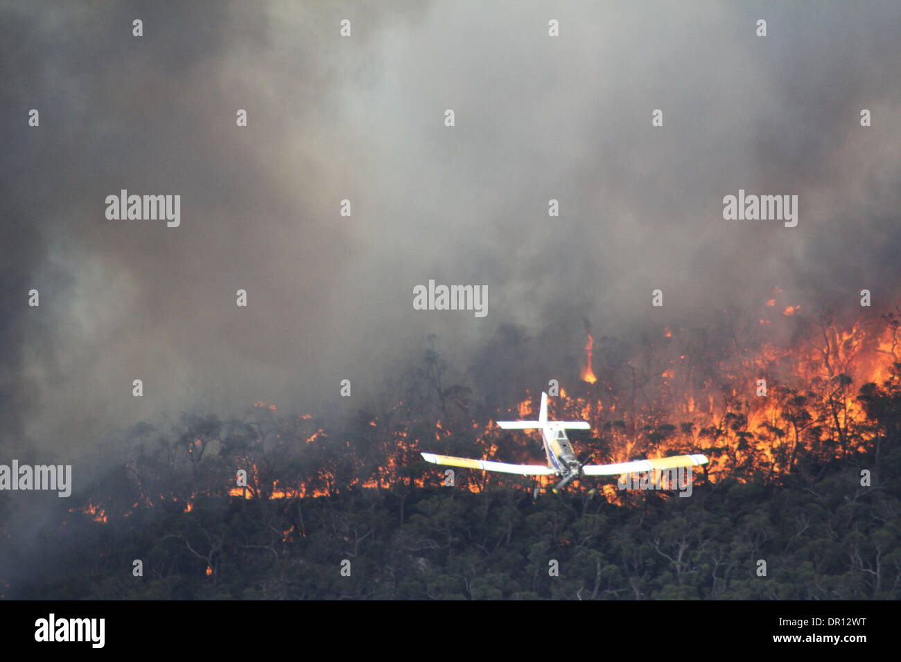 Melbourne. 17. Januar 2014. Foto aufgenommen am 17. Januar 2014 zeigt eine Brandbekämpfung Flugzeug Löscharbeiten brennen in Victorias Grampians Region in Australien. Schnelllebigen Buschfeuer durch rekordverdächtigen Hitze entzündet und angefacht durch starken Wind im südlichen Bundesstaat Victoria in Australien hat ein toter links und setzen Sie den betroffenen Bereich in höchster Alarmbereitschaft am Freitag. Bildnachweis: Land Fire Authority/Xinhua/Alamy Live-Nachrichten Stockfoto