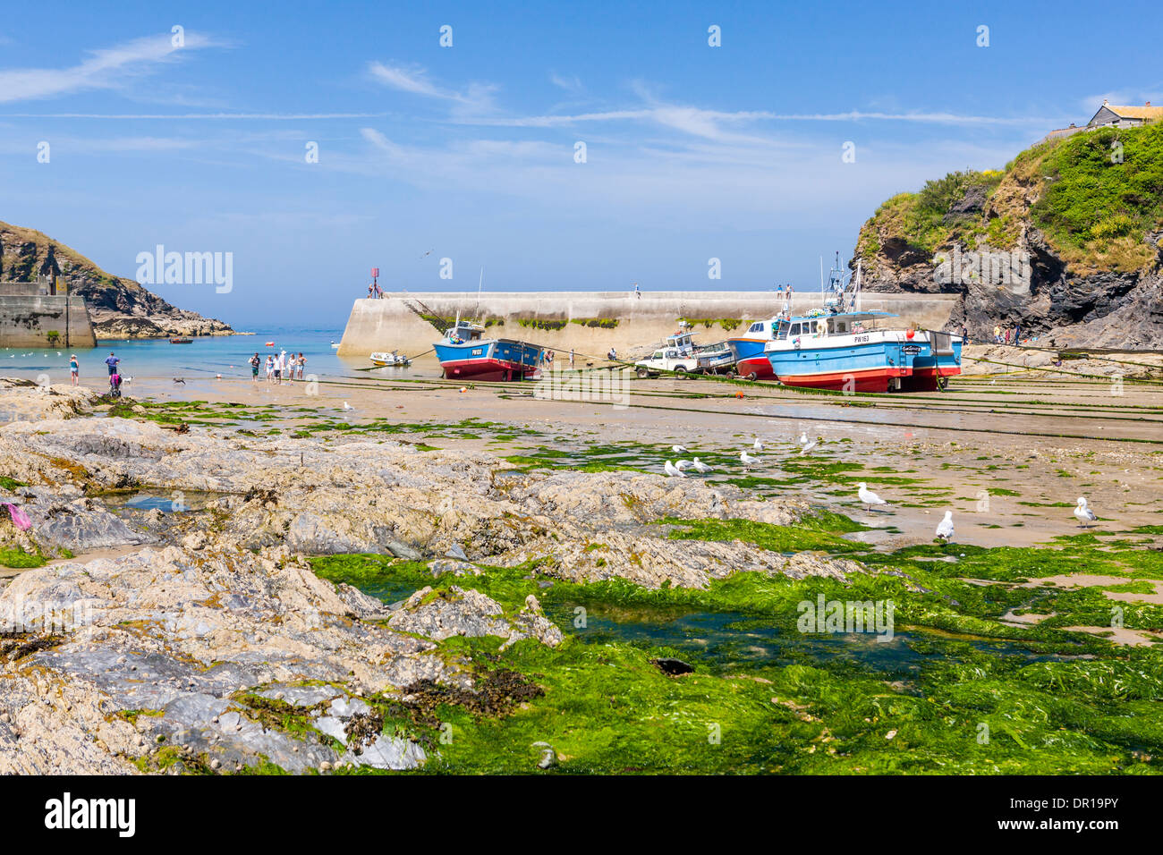 Port Isaac (Porthysek), ein kleines, malerisches Fischerdorf an der Atlantikküste von Nord Cornwall, England, Vereinigtes Königreich Stockfoto