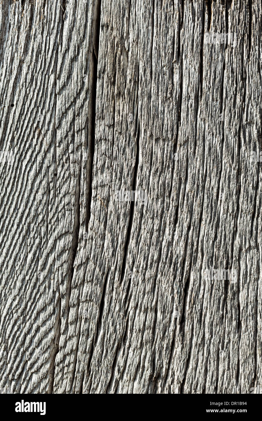 Risse In Holz Stockfotos & Risse In Holz Bilder - Alamy