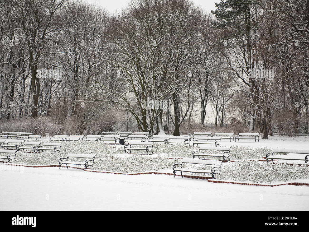 Schnee auf Bäumen und Bänken in Bädern Royal Park Stockfoto