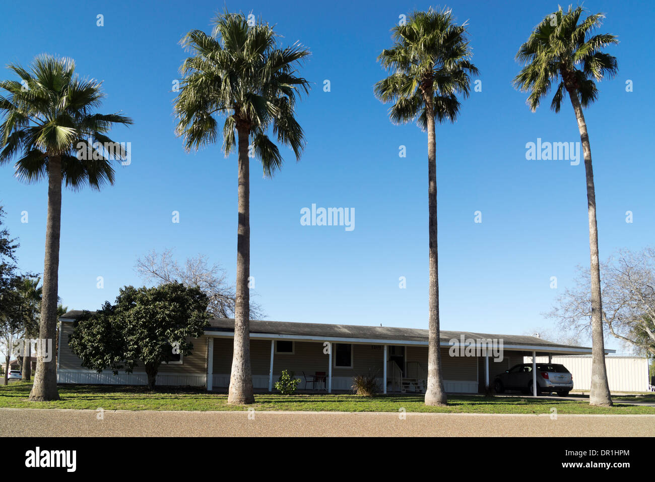 Vier Palmen säumen die Front ein Mobilheim auf einem RV Park in Mission, TX, USA Stockfoto