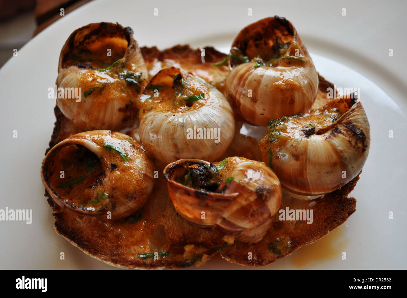 Schnecken (Schnecken) mit Knoblauch und Tomaten, serviert auf geröstetem Sauerteigbrot in ein feines restaurant Stockfoto