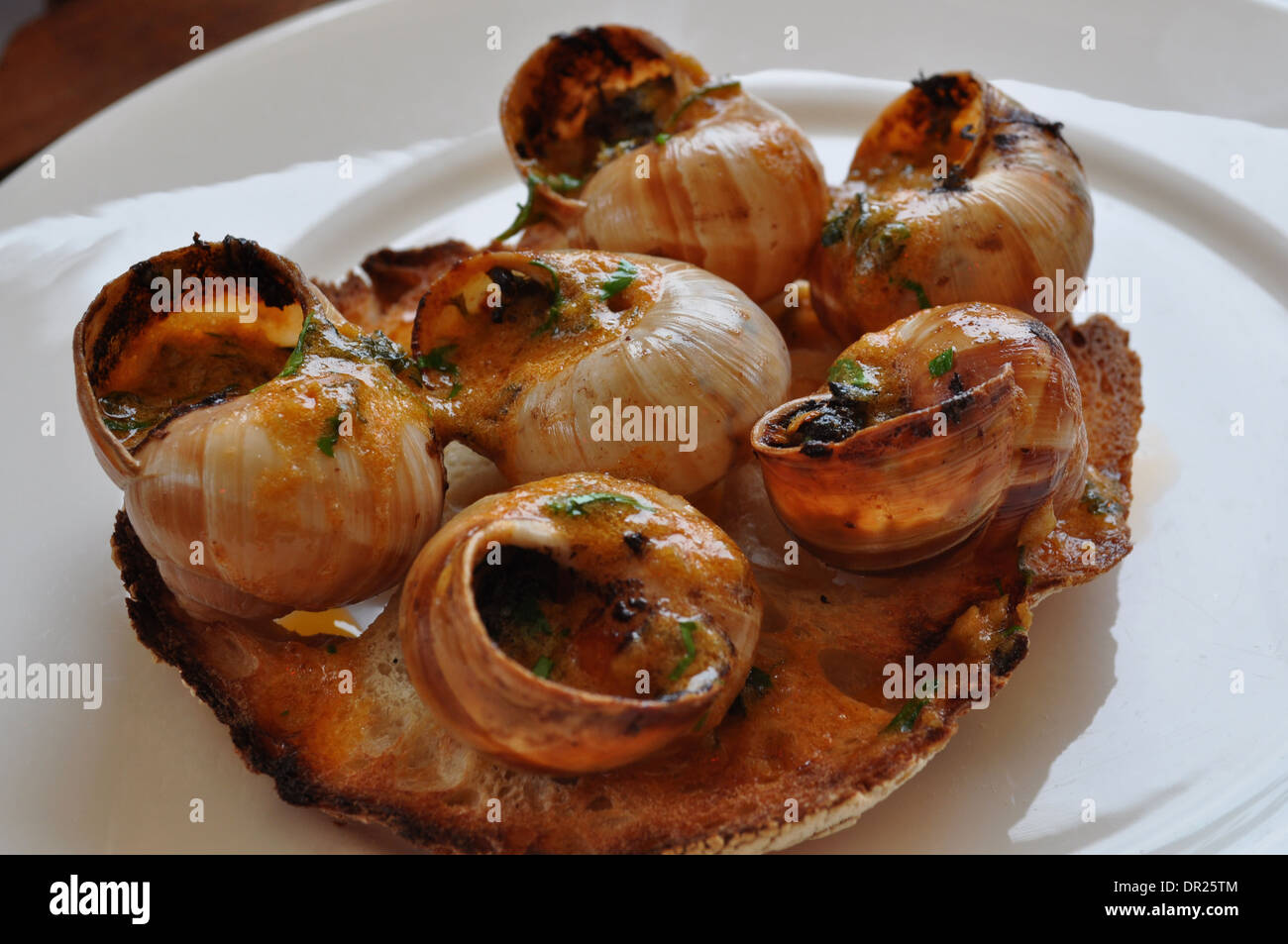 Schnecken (Schnecken) mit Knoblauch und Tomaten, serviert auf geröstetem Sauerteigbrot in ein feines restaurant Stockfoto