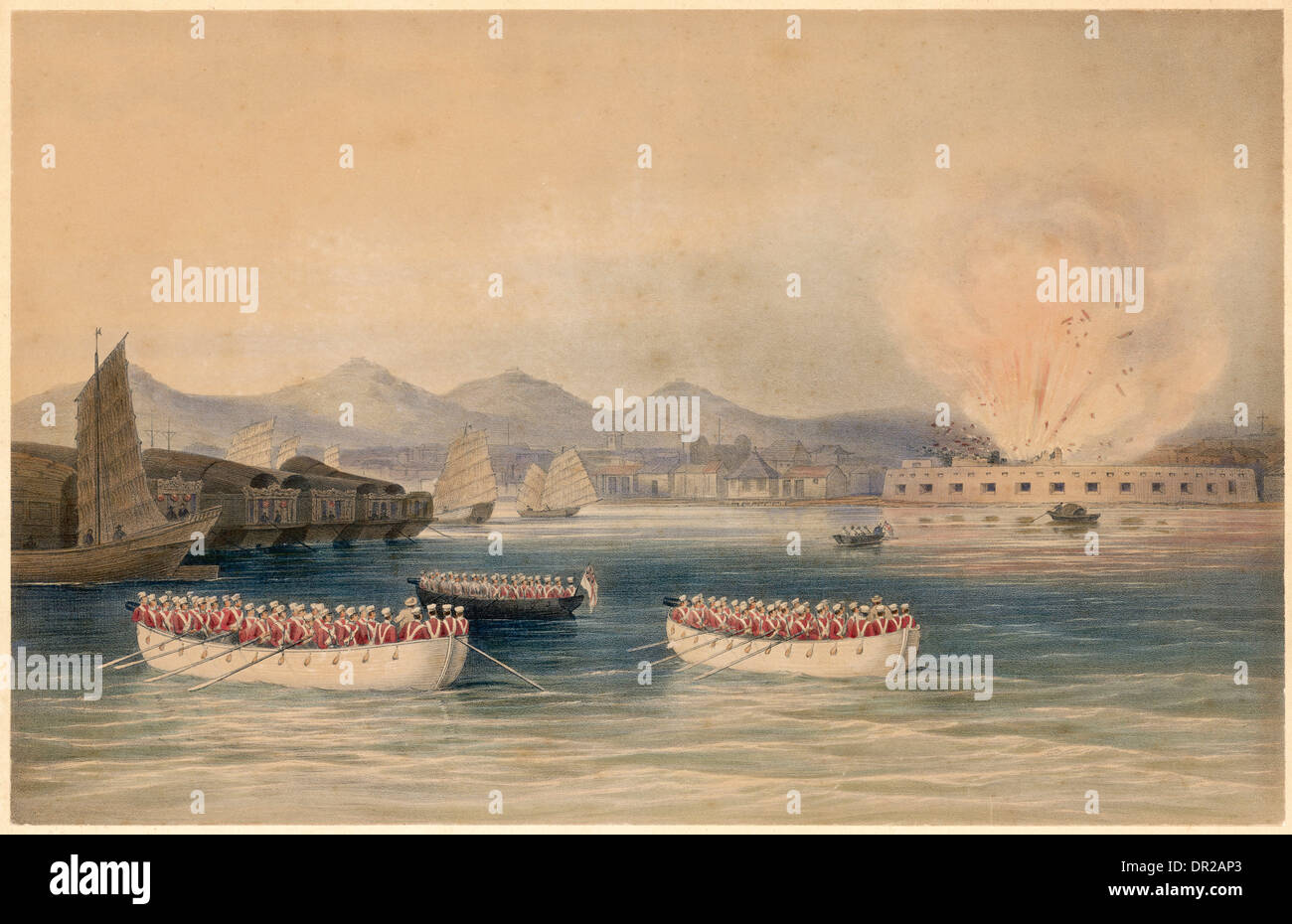 EINNAHME VON TRACHYCARPUS 1840 Stockfoto