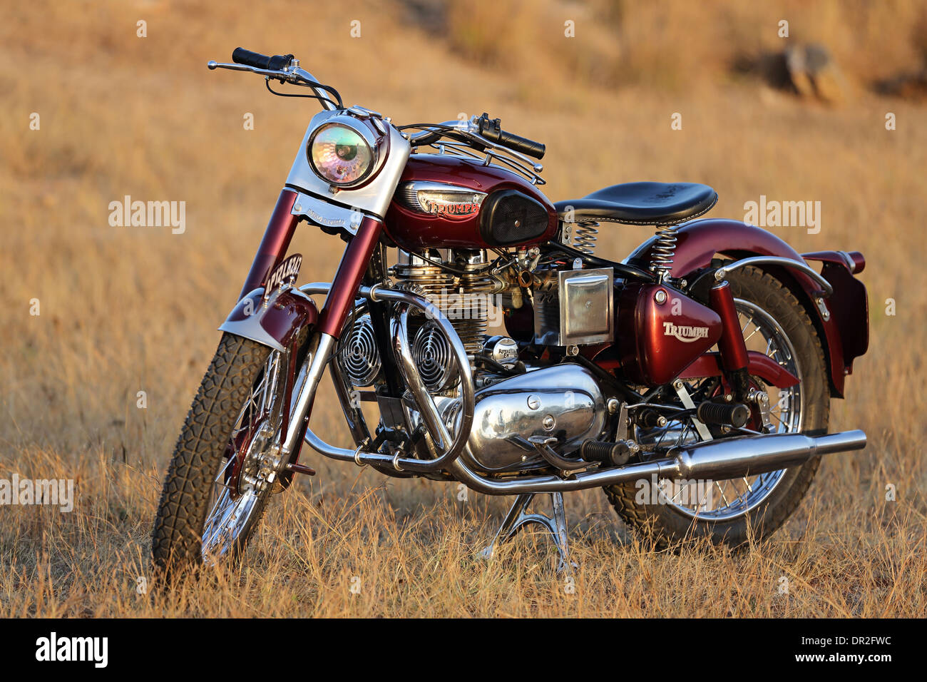 Oldtimer Royal Enfield Bullet mit Triumph Tank und Kotflügel aus den 50er Jahren namens "Bitsa" Stockfoto