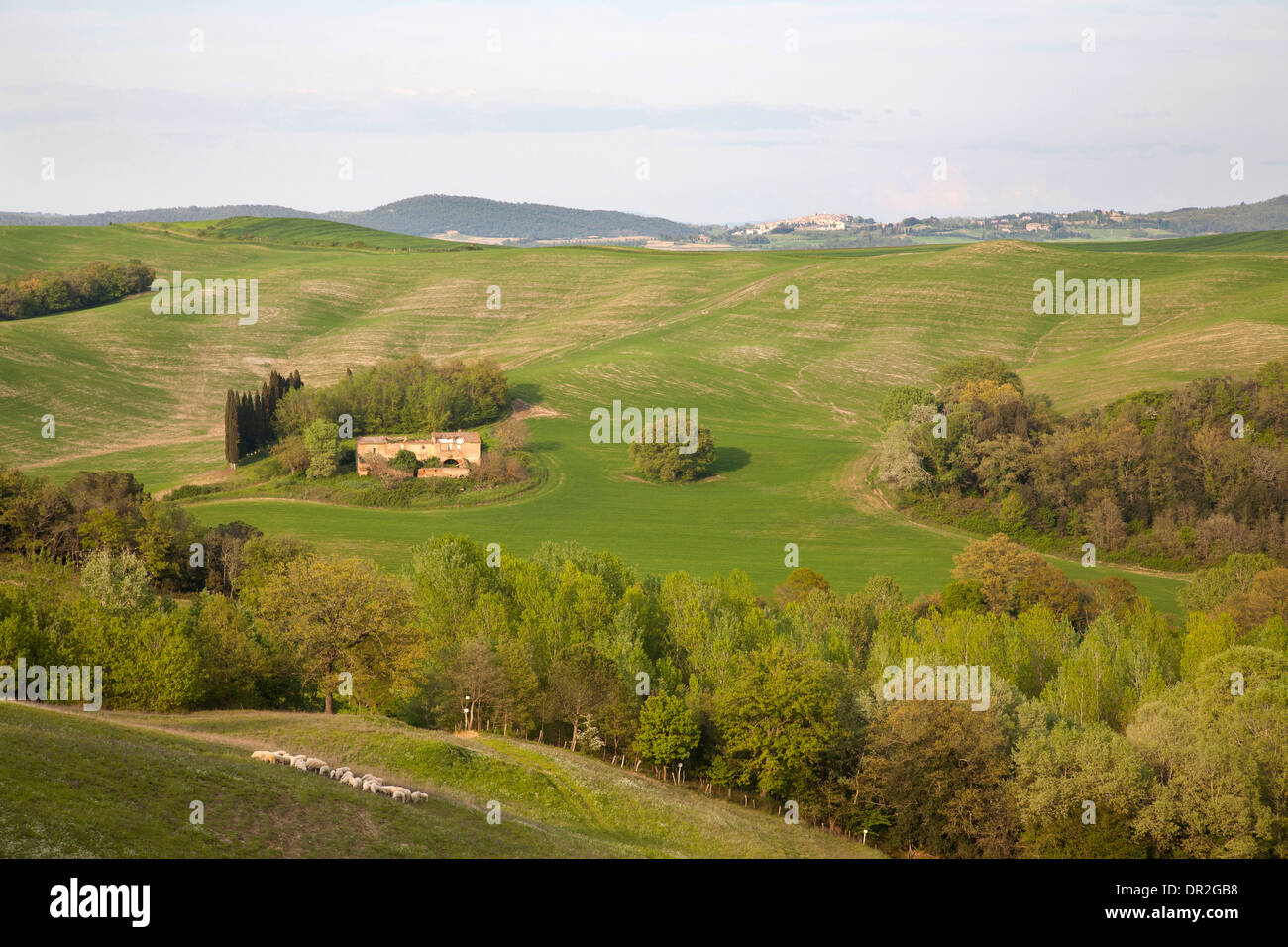 Landschaft, Kreta Senesi, Siena, Toskana, Italien, Europa Stockfoto