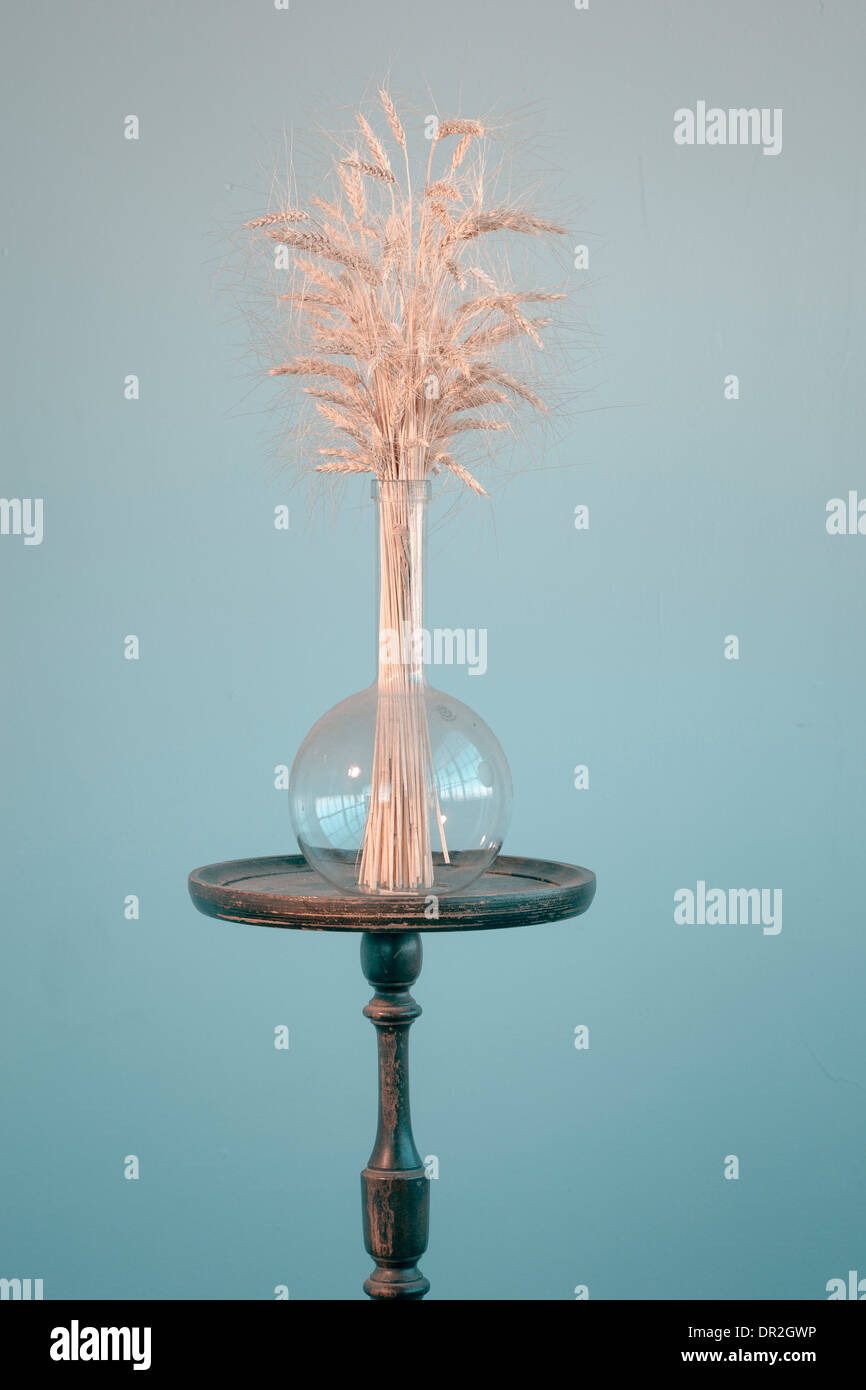 trockenen Weizen in einem Glaskolben auf einem Holzständer Stockfoto