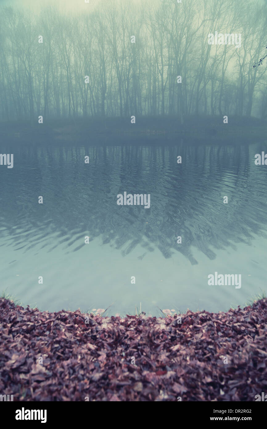 Noch Wasser des Sees im Herzen des alten Waldes Stockfoto