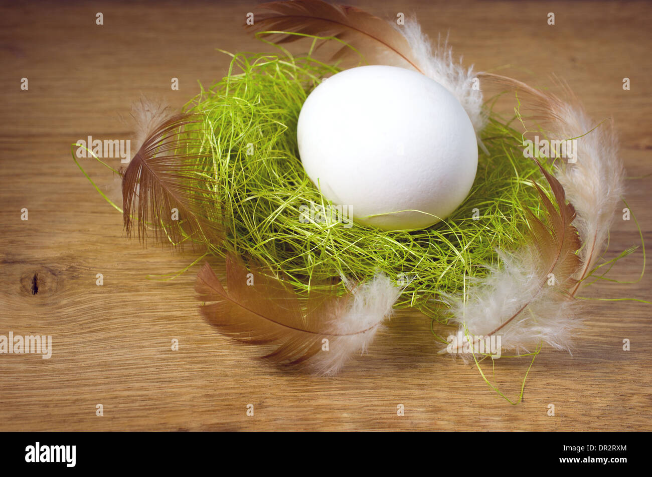 Easter Egg White ist im nest Stockfoto