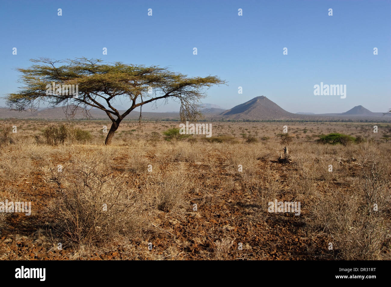 Blick vom Buffalo Springs NP über den Fluss Ewaso Ngiro in den Samburu Nationalpark Stockfoto