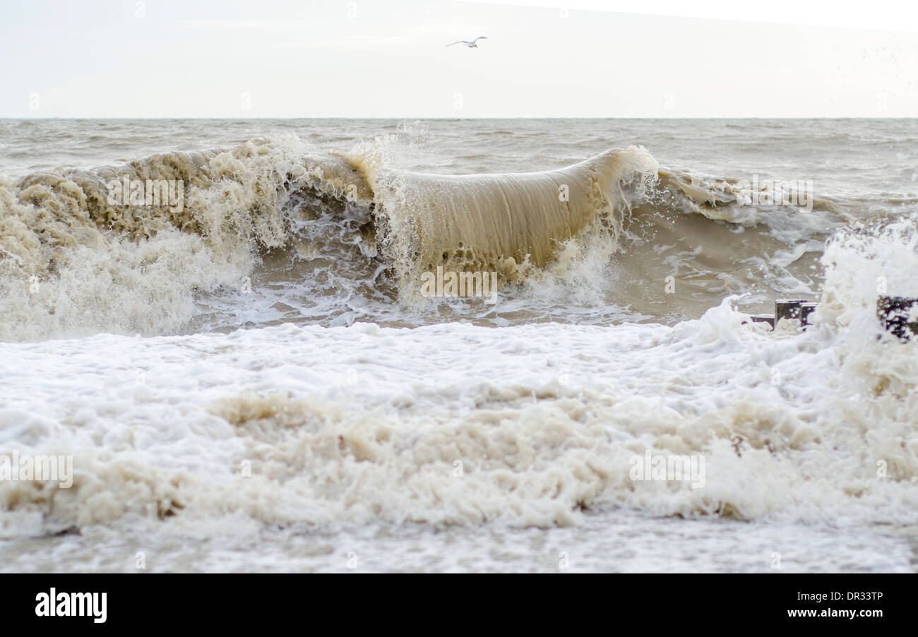 Große Welle auf dem Meer bei Flut. Stockfoto
