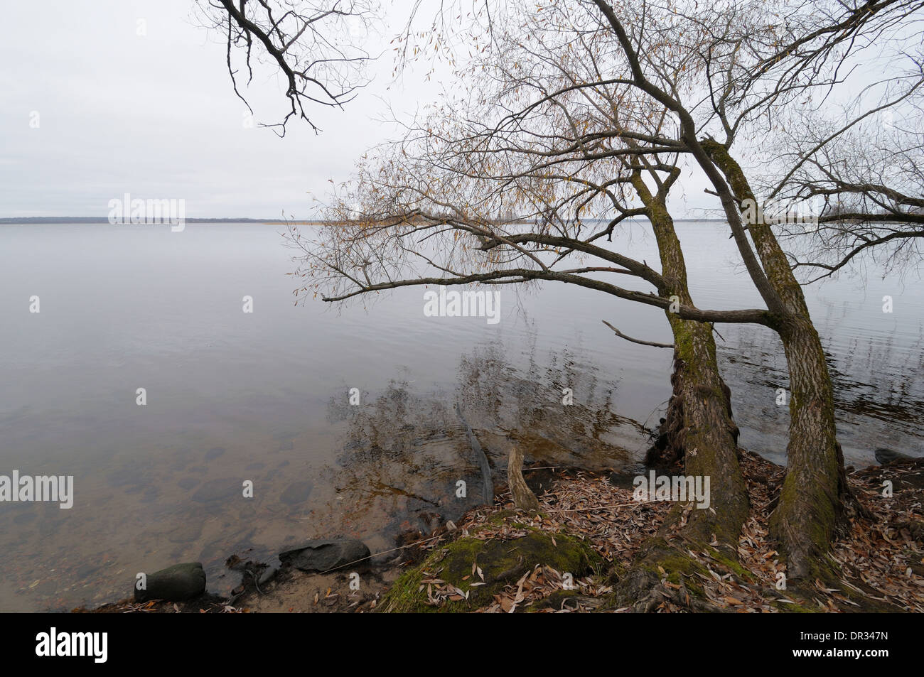 Herbstliche Ansicht am Seliger See in der Nähe von Ostaschkow, Twer, Russland Stockfoto