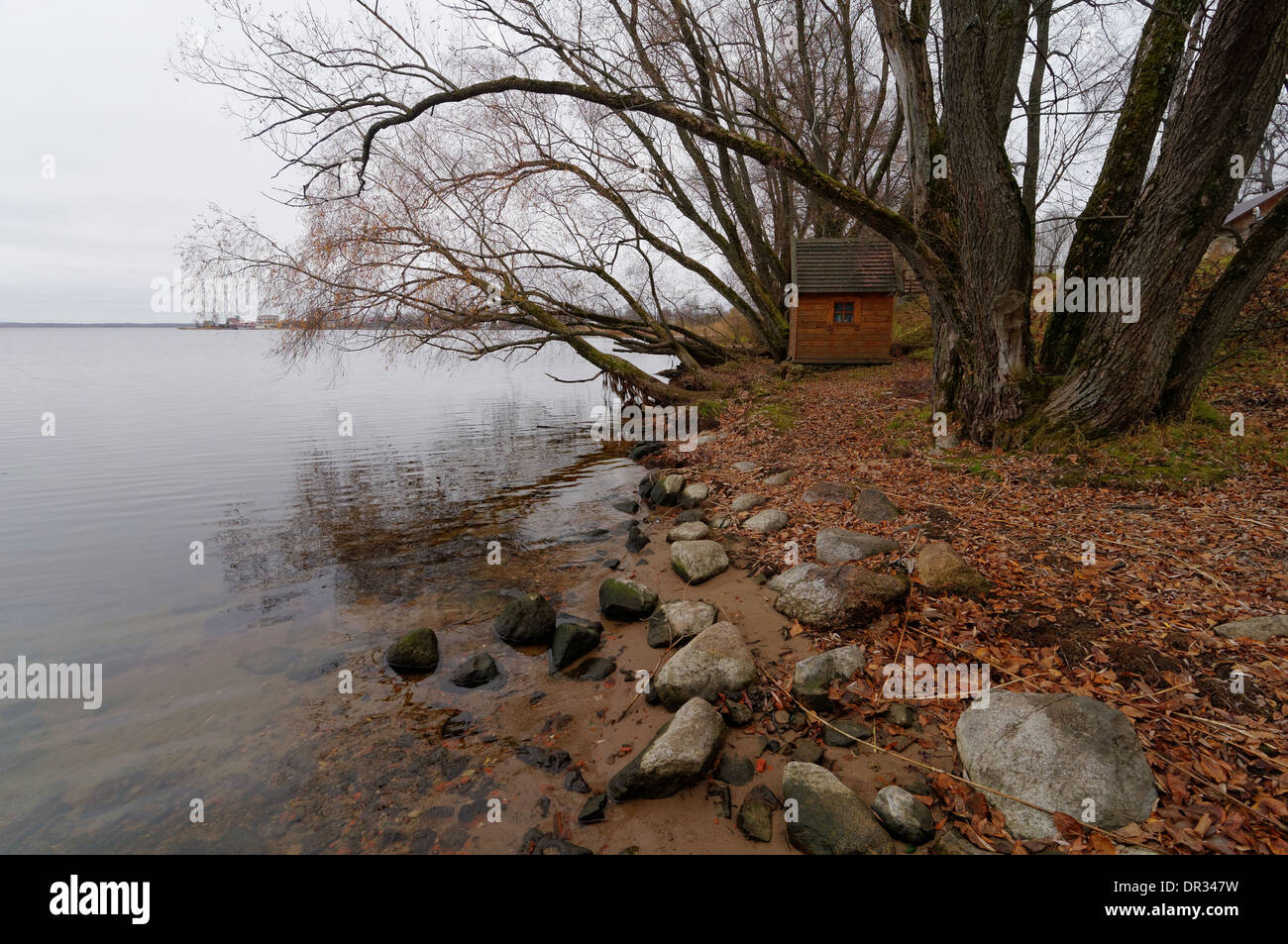 Ufer von Seliger See in der Nähe von Ostaschkow, Twer, Russland Stockfoto