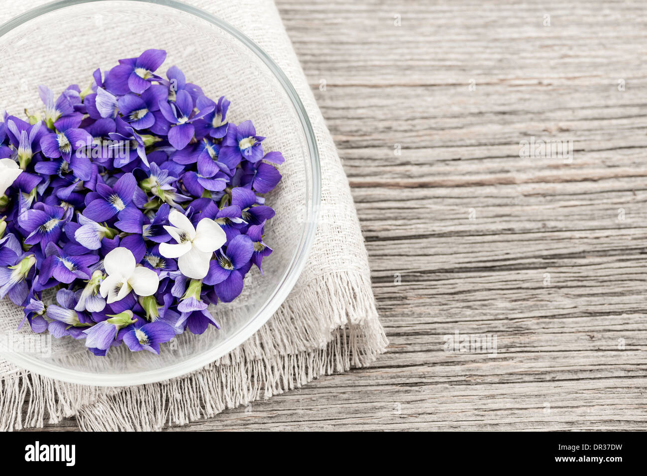 Sammelpflanzen essbare lila und weißen violetten Blüten in Schüssel auf Holz Hintergrund mit Textfreiraum Stockfoto