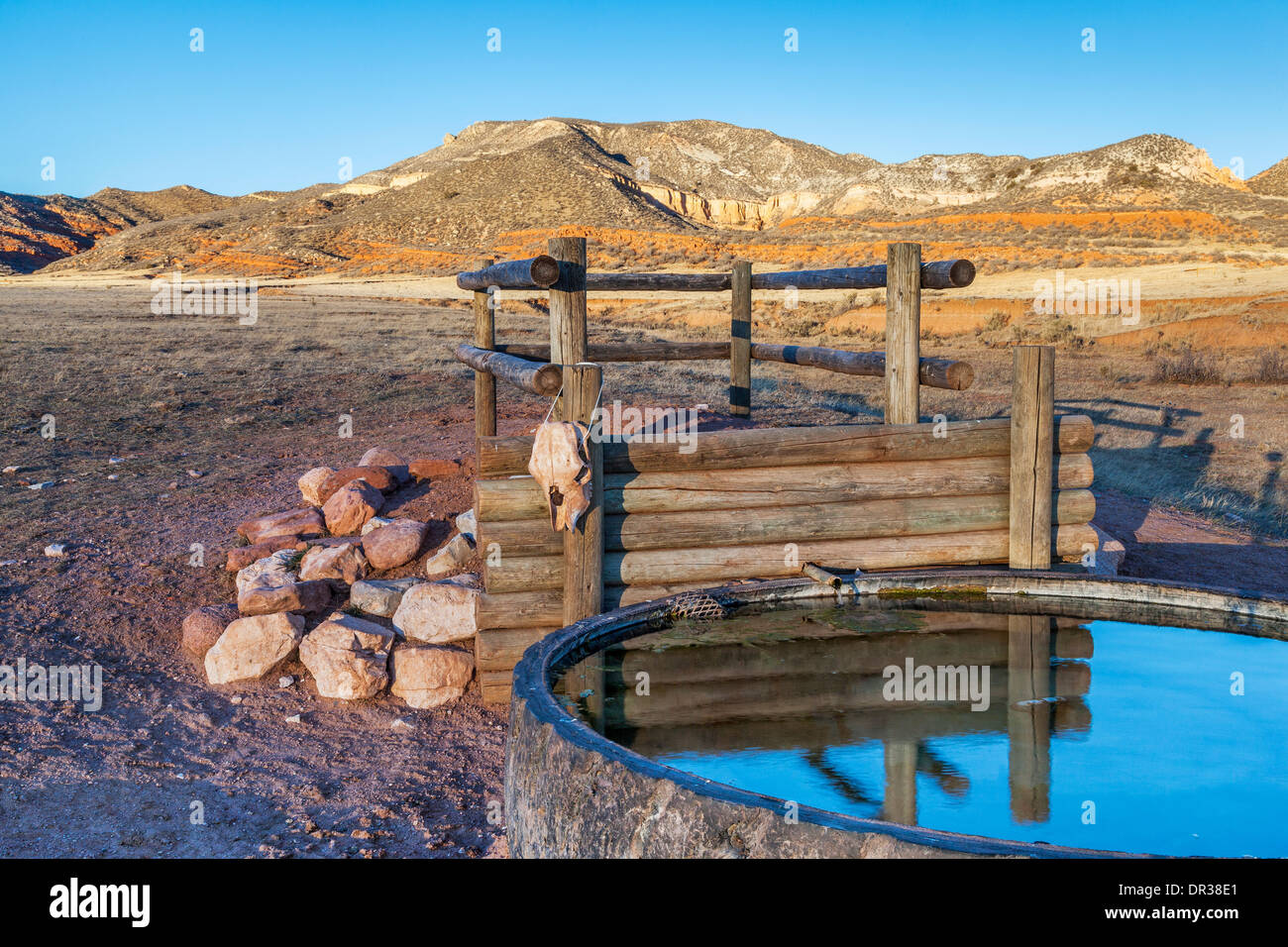 Rinder-Wasserloch im Red Mountain Open Space, halb Wüstenlandschaft in northern Colorado in der Nähe von Wyoming Grenze Stockfoto