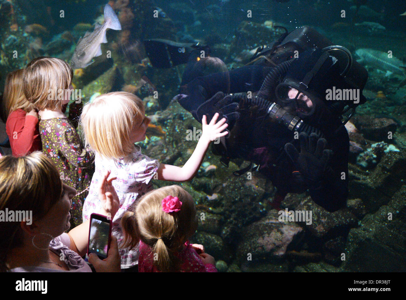 Vancouver, Kanada. 19. Januar 2014. Royal Canadian Navy Diver Andy O'Brien interagiert mit Kindern in Vancouver Aquarium 15. jährlichen Taucher Wochenende in Vancouver, Kanada, am 18. Januar 2014. Diese jährliche Feier des Tauchens bietet Taucher und Nichttaucher gleichermaßen die Möglichkeit, erforschen die Ozeane, ihren Horizont zu erweitern und Ideen auszutauschen. © Sergei Bachlakov/Xinhua/Alamy Live-Nachrichten Stockfoto