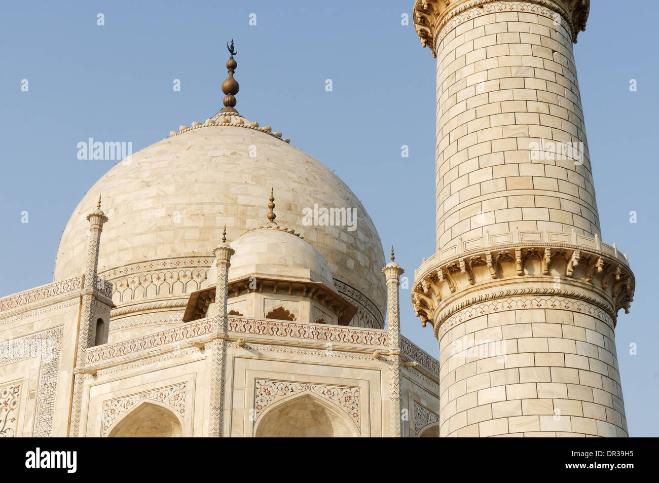 Details des Taj Mahal Stockfoto