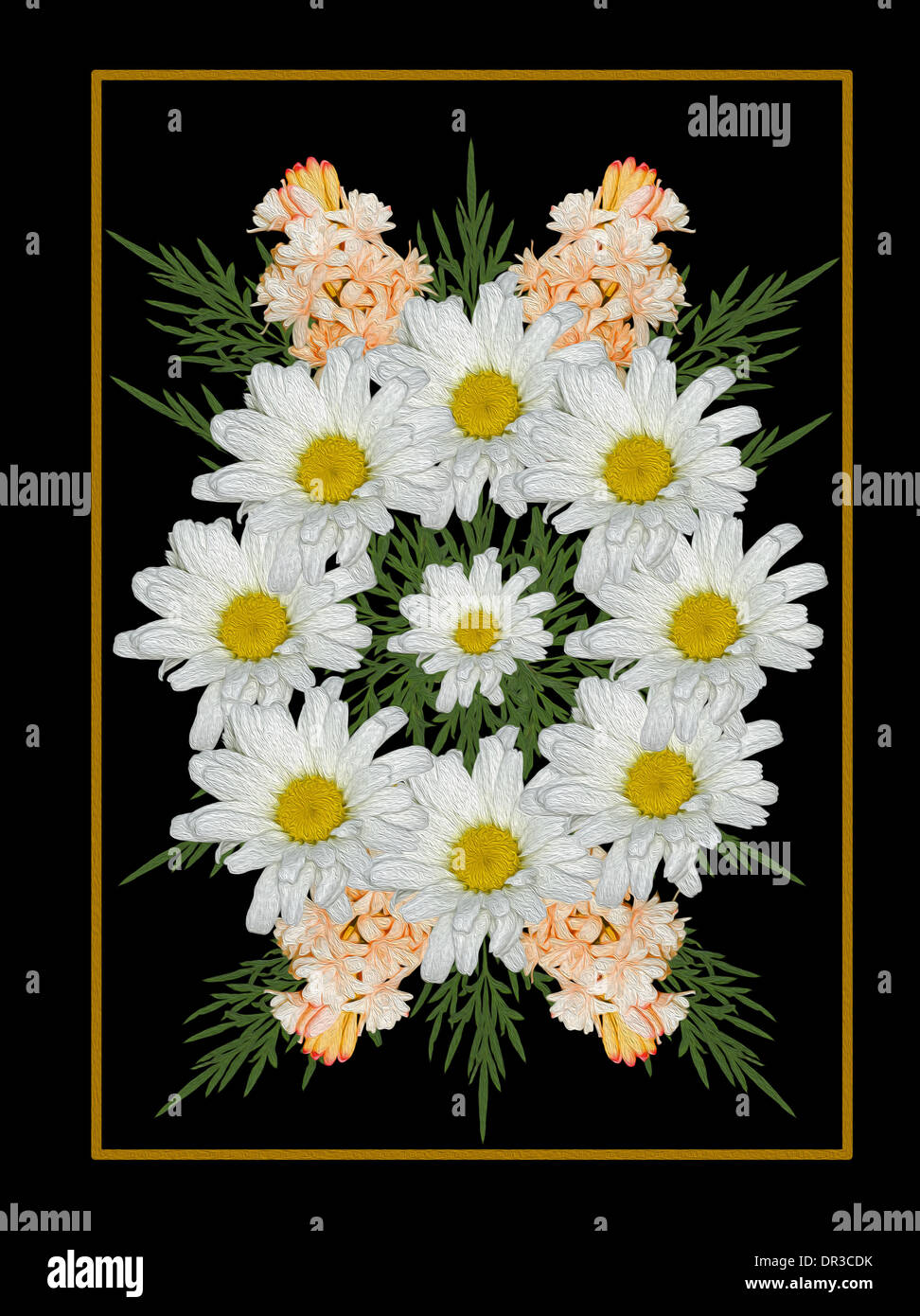 Beeindruckendes Blumenkunst Design mit weißen Margeriten, Aprikose Blumen, Smaragd verlässt mit Goldrahmen vor schwarzem Hintergrund Stockfoto