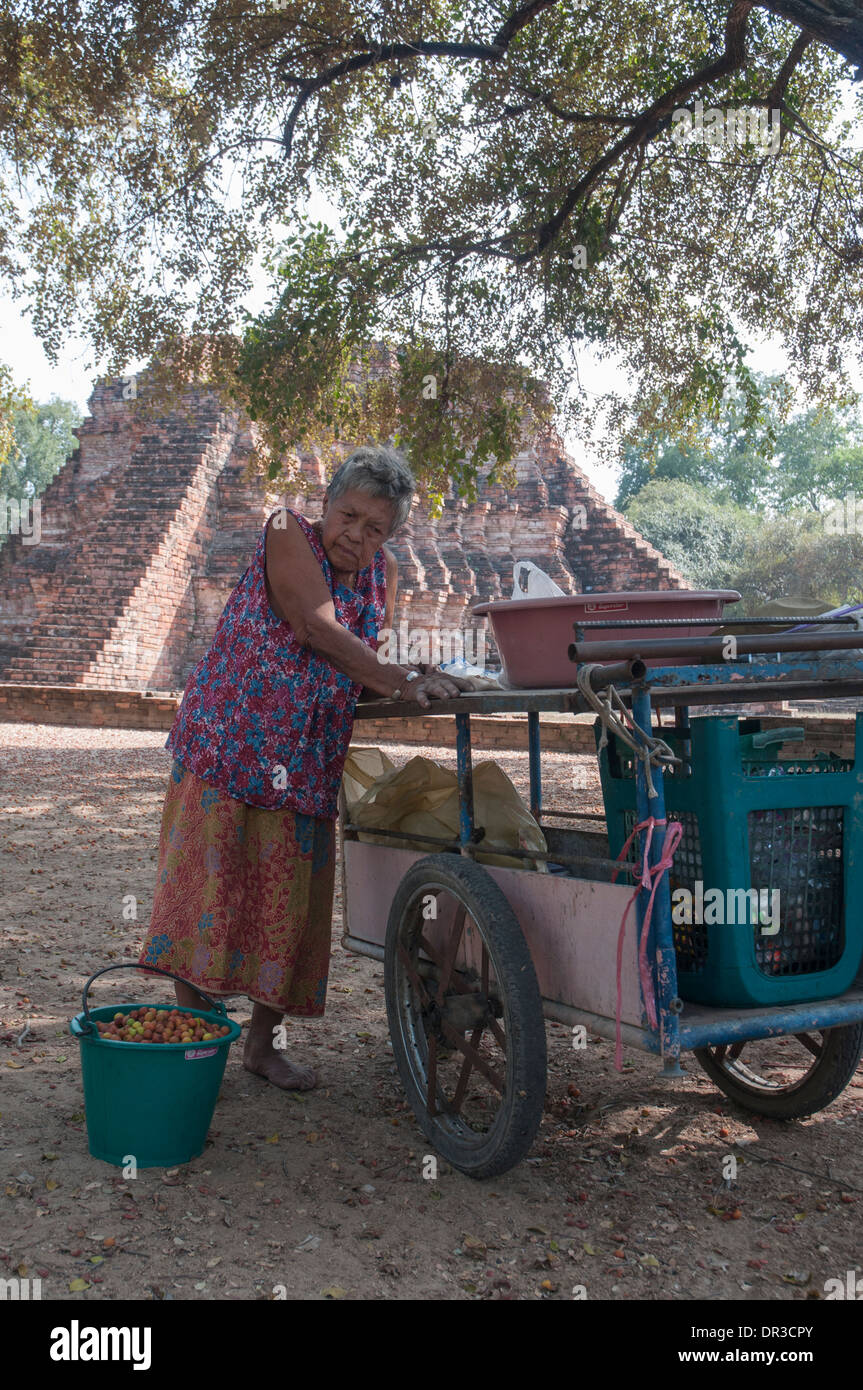 Alte Frau sammeln Beeren innerhalb der Ruinen des Wat Rakhang (Kloster der Glocke) in Ayutthaya, Thailand Stockfoto