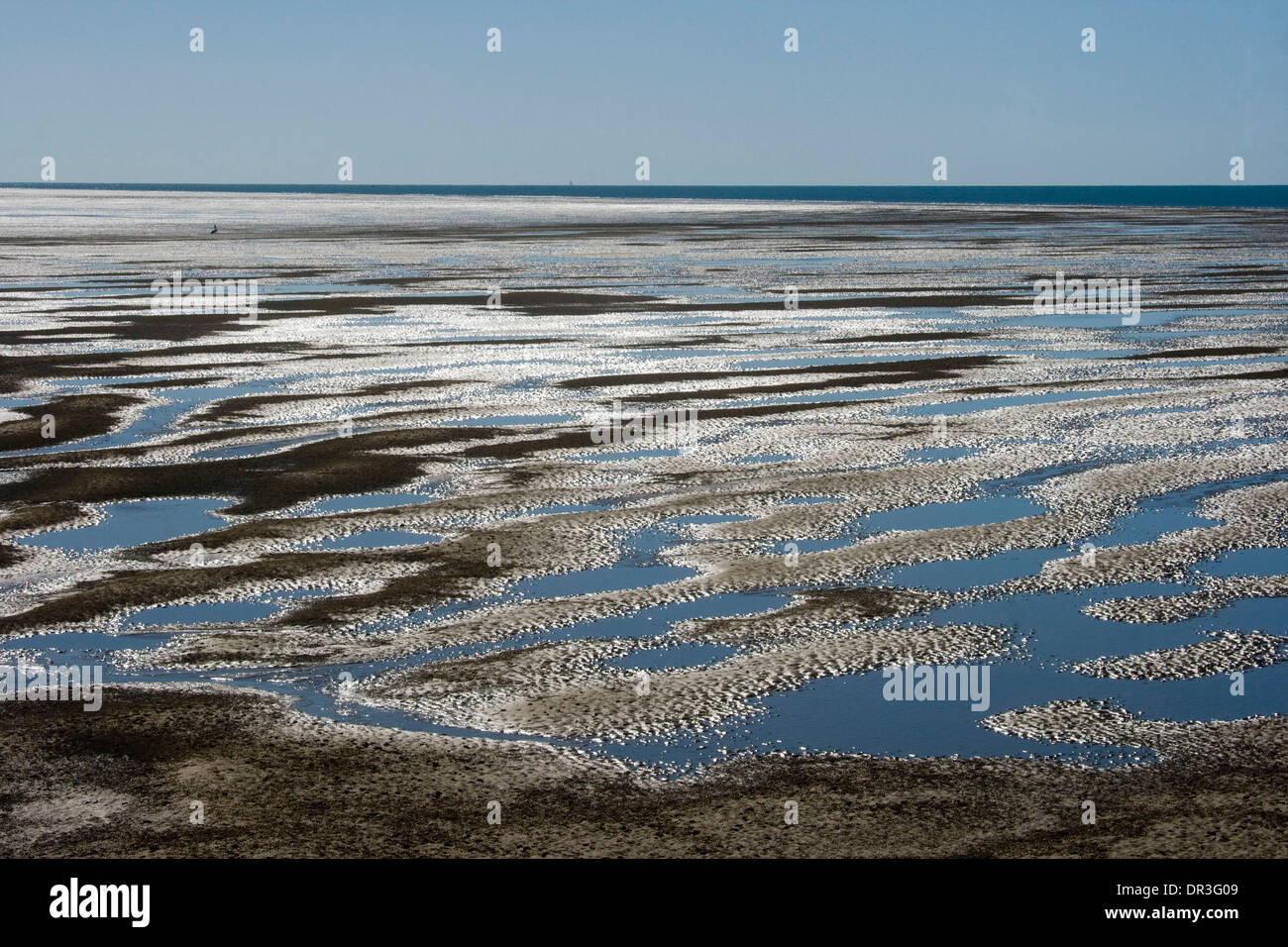 Riesiger Strand bei Ebbe in Hervey Bay mit Meeresboden ausgesetzt und mit Silber umrandet Pools von blauem Wasser, die zum Horizont erstrecken sich bedeckt Stockfoto