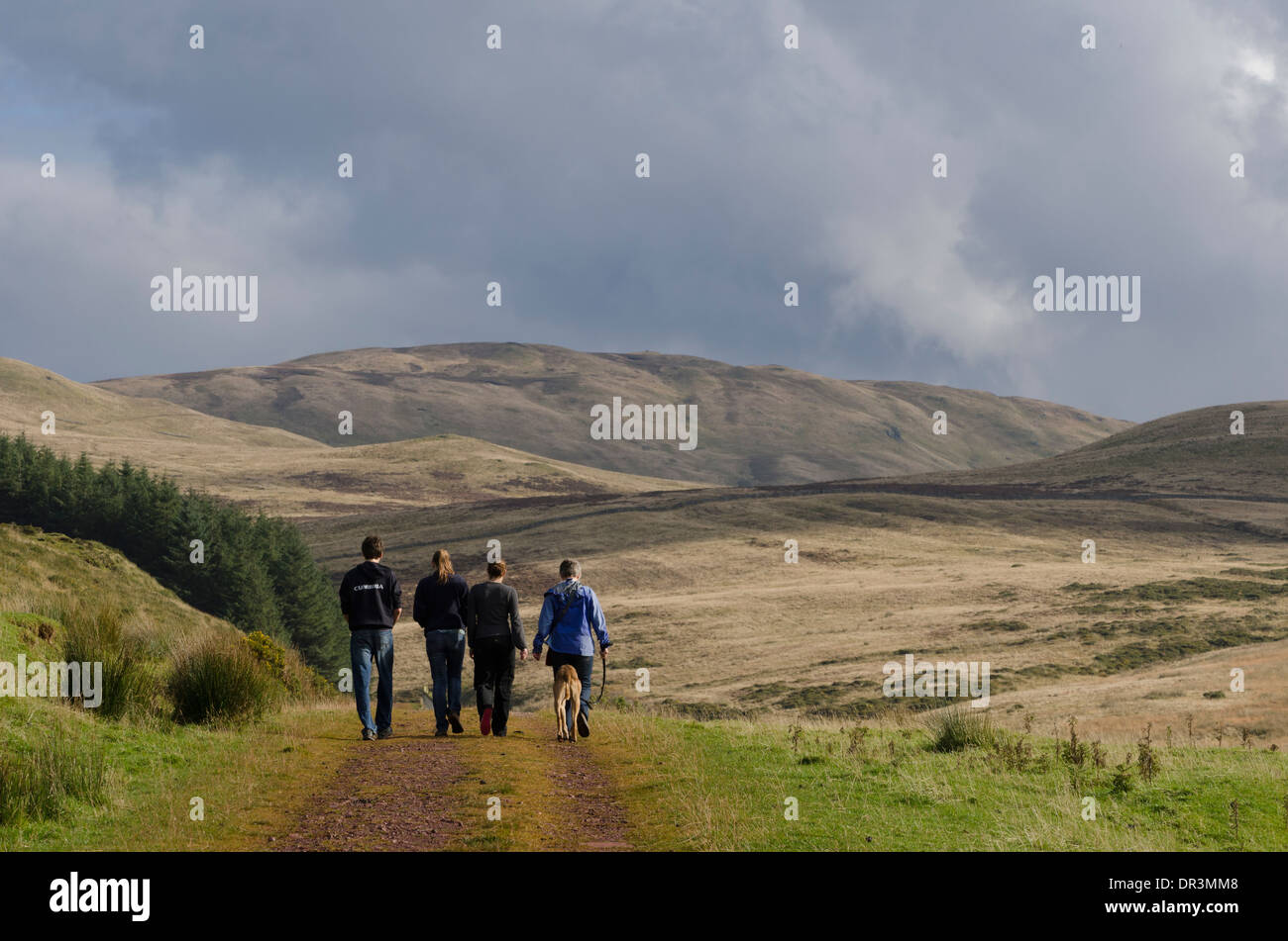 Eine Gruppe von 4 Personen mit einem Hund zu Fuß auf einem Pfad in der Nähe von Croasdale, Lake District, England, UK. Die Gruppe wird von hinten erschossen. Stockfoto