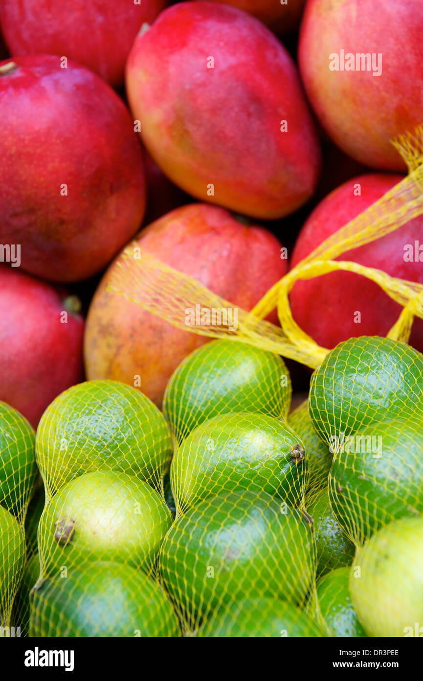 Frische rote Mangos und glänzend grünen Limetten auf Outdoor-brasilianische tropischen Bauernmarkt in Rio De Janeiro Brasilien Stockfoto