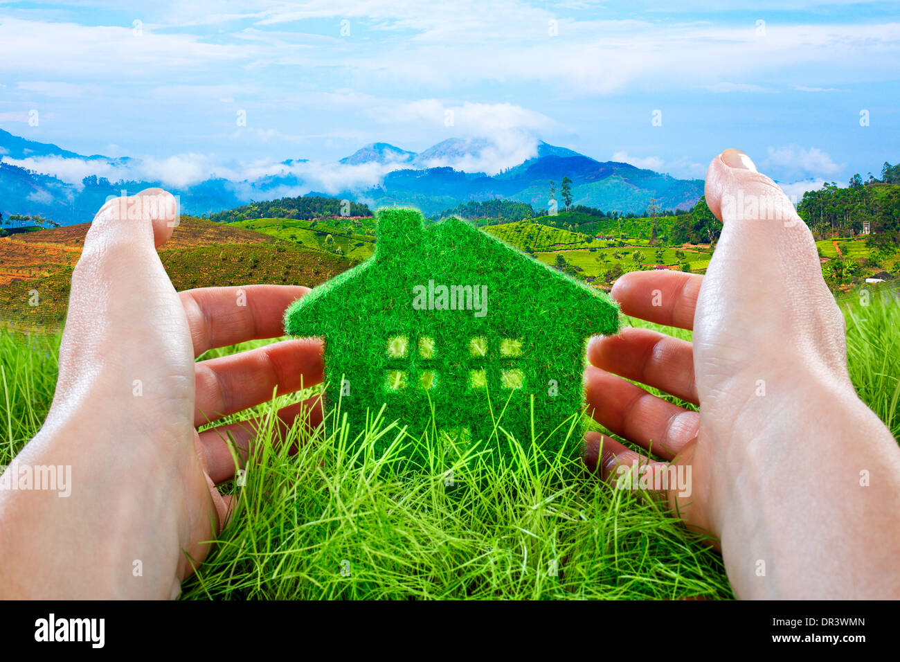 Eco House im grünen Rasen durch Menschenhand auf blauen Himmelshintergrund geschützt. Stockfoto