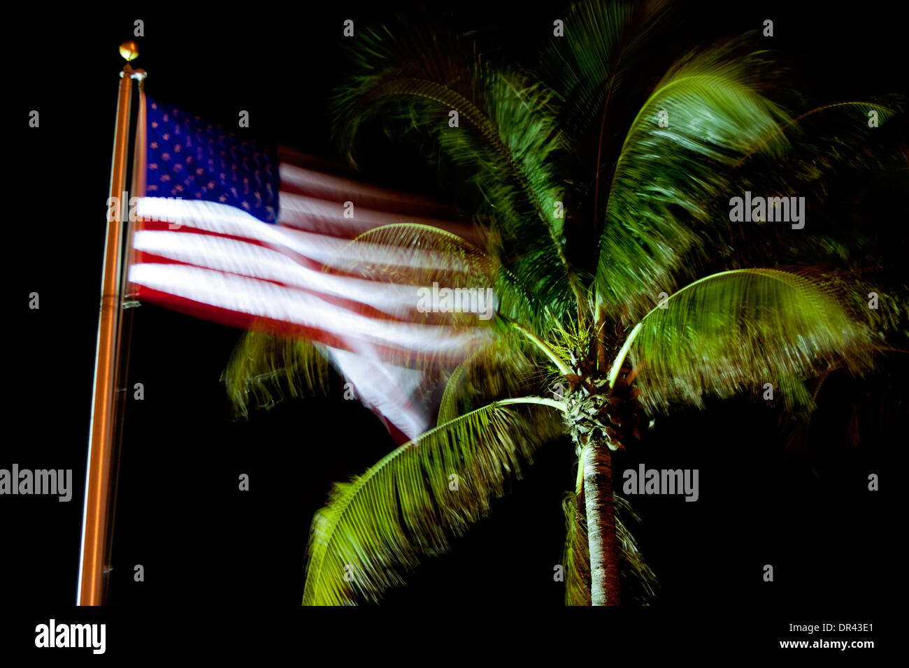 Motion Blur der amerikanischen Flagge und Palme - Pompano Beach, Florida USA Stockfoto