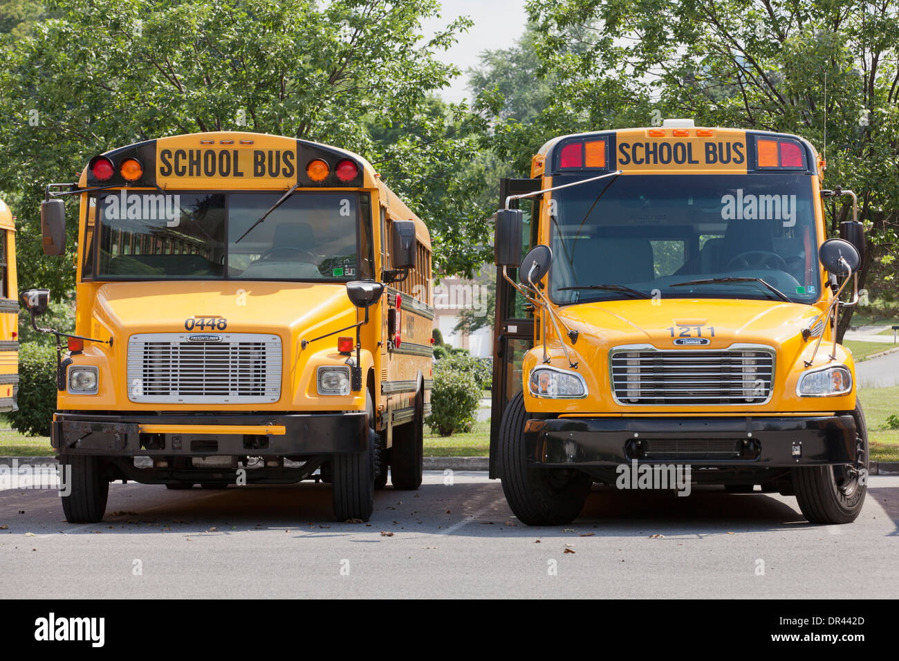 Parkte uns Schulbusse - Pennsylvania USA Stockfoto