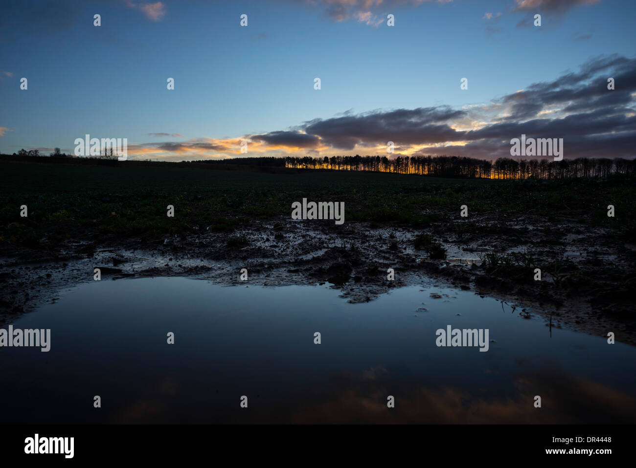 Aufgeweichten Feld in den Scottish Borders im Januar, hohe Niederschlag, Abfluss und Straße Überschwemmungen, Verlust des Bodens. Stockfoto