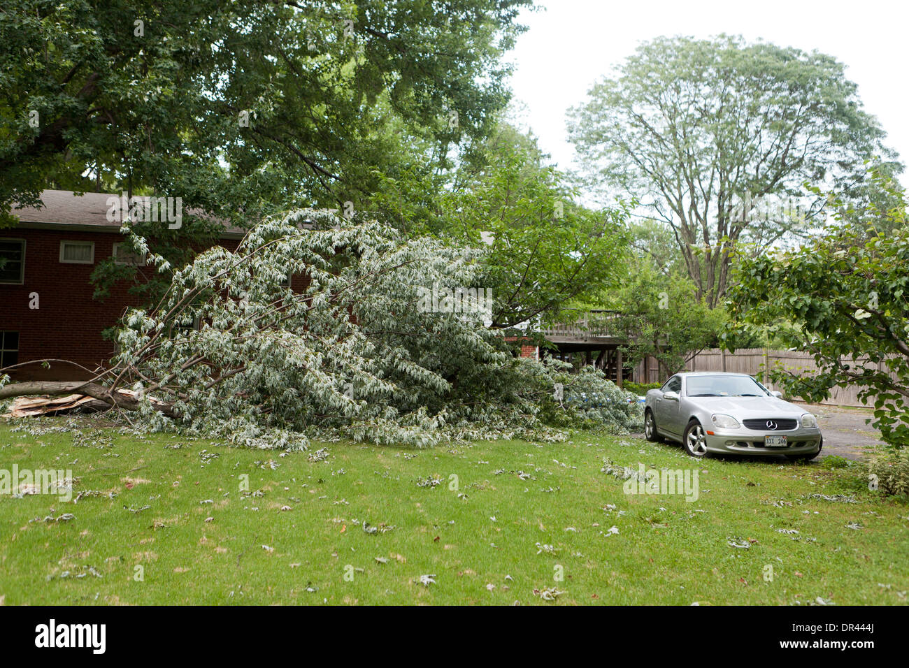 Gefallenen Ast vom Sturm im Hinterhof des Hauses - USA Stockfoto
